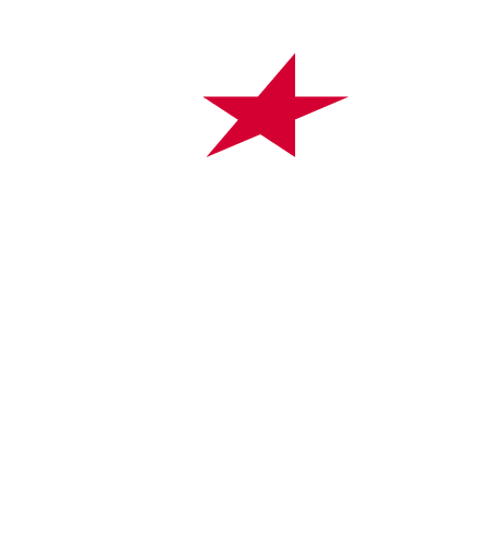 Icona ski