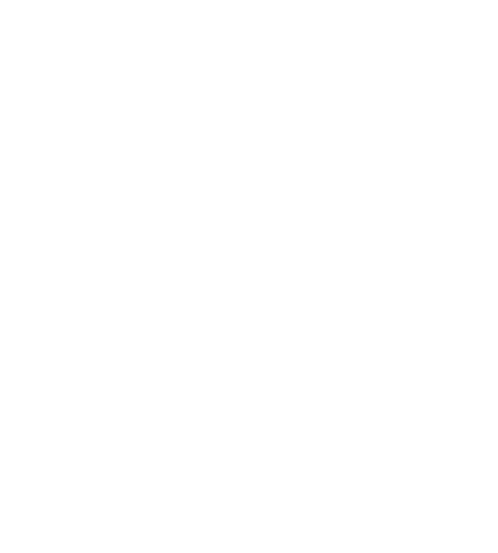 Icona skiing