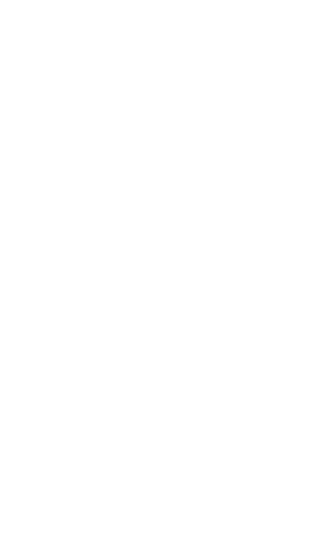 Icona basket