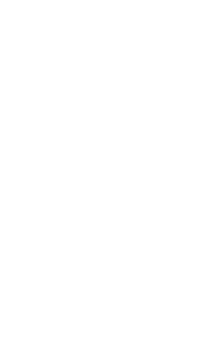 Icona tennis